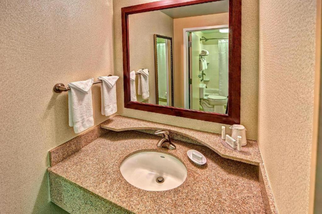 Springhill Suites Norfolk Old Dominion University Buitenkant foto